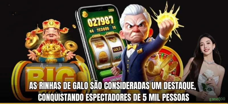 Dog House Variações
